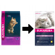 Eukanuba Kitten al pollo per gattino