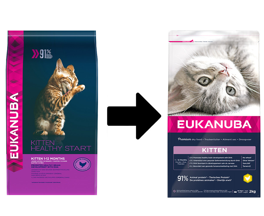 Eukanuba Kitten al pollo per gattino