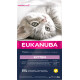 Eukanuba Kitten al pollo per gattino