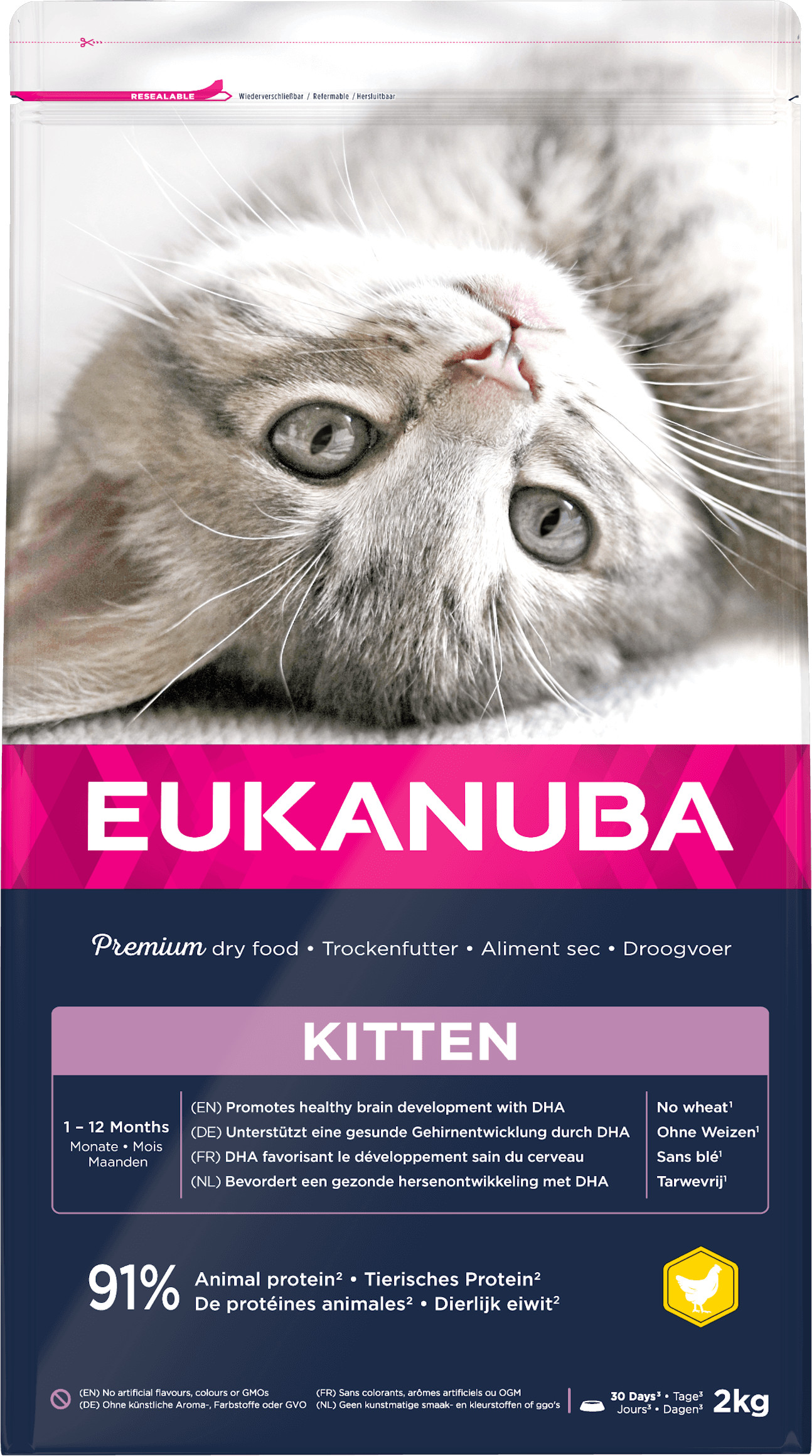 Eukanuba Kitten al pollo per gattino