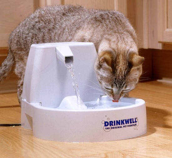 PetSafe Drinkwell Abbeveratoio Original per cane e gatto