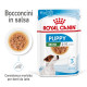 Royal Canin Mini Puppy cibo umido per cane