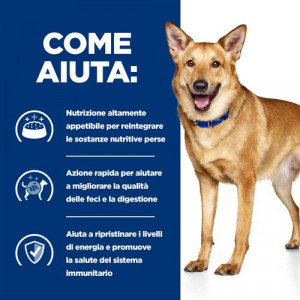 Hill's Prescription I/D (i/d) Digestive Care umido per cane (tacchino) 360 gr