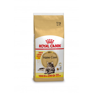 Royal Canin Gatto Maine Coon 31 Adult