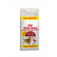 Royal Canin Fit 32 Gatto