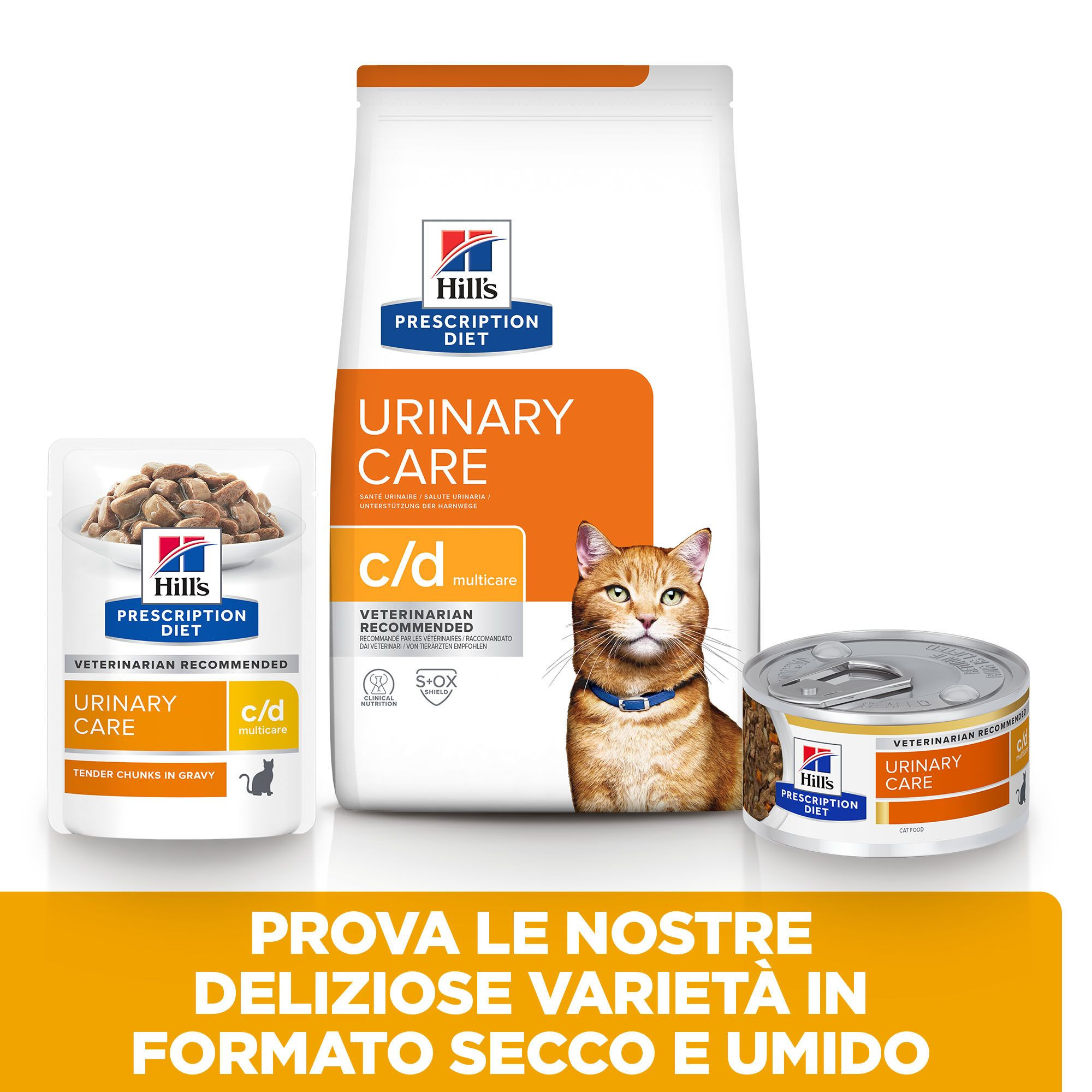 Hill’s Prescription C/D Multicare Urinary con salmone per gatto 85g