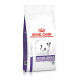 Royal Canin Expert Mature Consult Small Dogs per cane