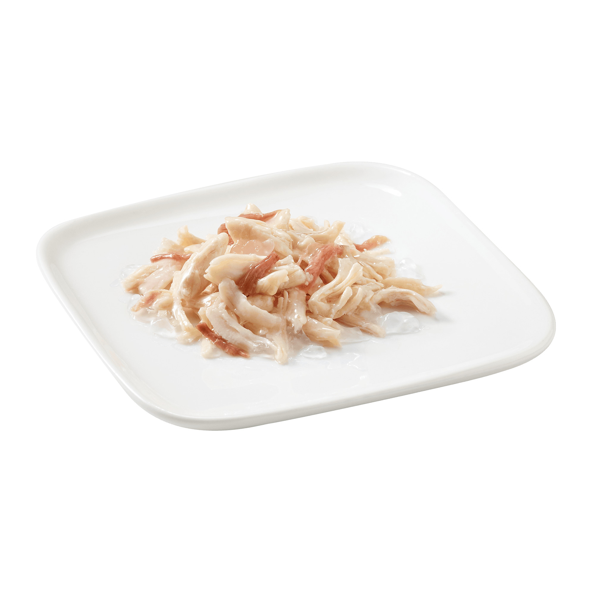 Schesir pollo con prosciutto (gelatina) cibo umido per cani (lattina)