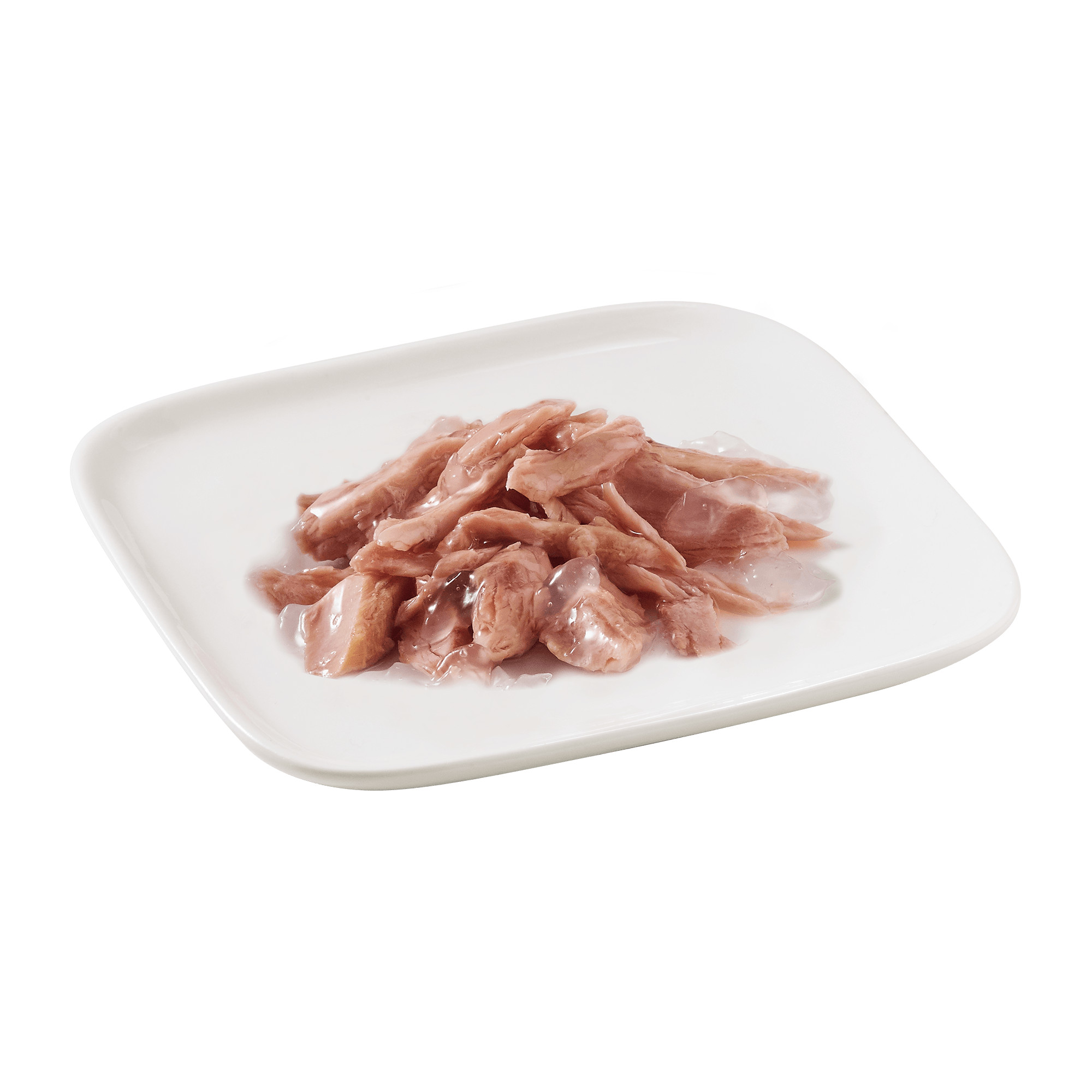 Schesir tonnetto (gelatina) cibo umido per cani (lattina)