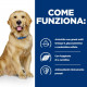 Hill's Prescription J/D Joint Care con agnello umido per cane 370 g