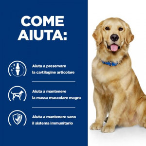 Hill's Prescription J/D Joint Care con agnello umido per cane 370 g