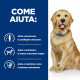 Hill's Prescription J/D Joint Care con agnello umido per cane 370 g