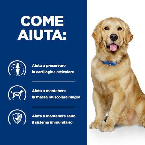 Hill's Prescription J/D Joint Care con agnello umido per cane 370 g