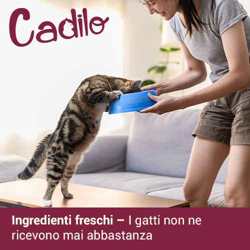 Cadilo Adult w/Fresh Chicken & Salmon probeerpakket - premium graanvrij kattenvoer