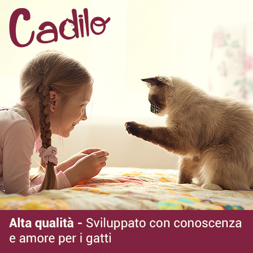 Cadilo Adult Grainfree w/Fresh Salmon - premium kattenvoer