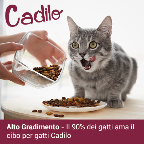 Cadilo Adult Grainfree w/Fresh Salmon - premium kattenvoer