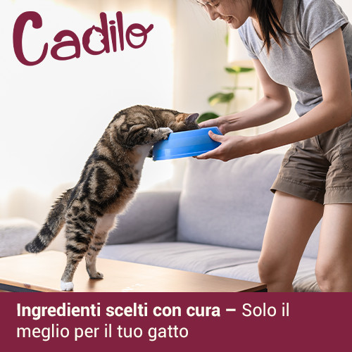 Cadilo Senior kattenvoer