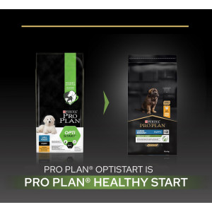 Pro Plan Large Robust Puppy Healthy Start con pollo per cane