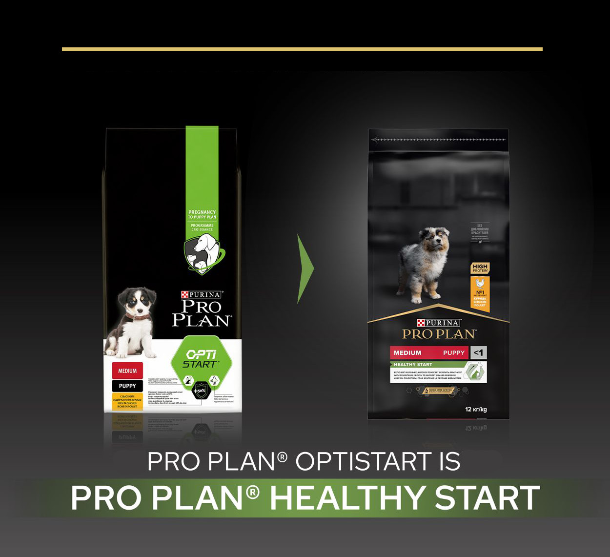 Pro Plan Medium Puppy Healthy Start con pollo per cane