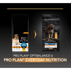Pro Plan Large Robust Adult Everyday Nutrition con pollo per cane