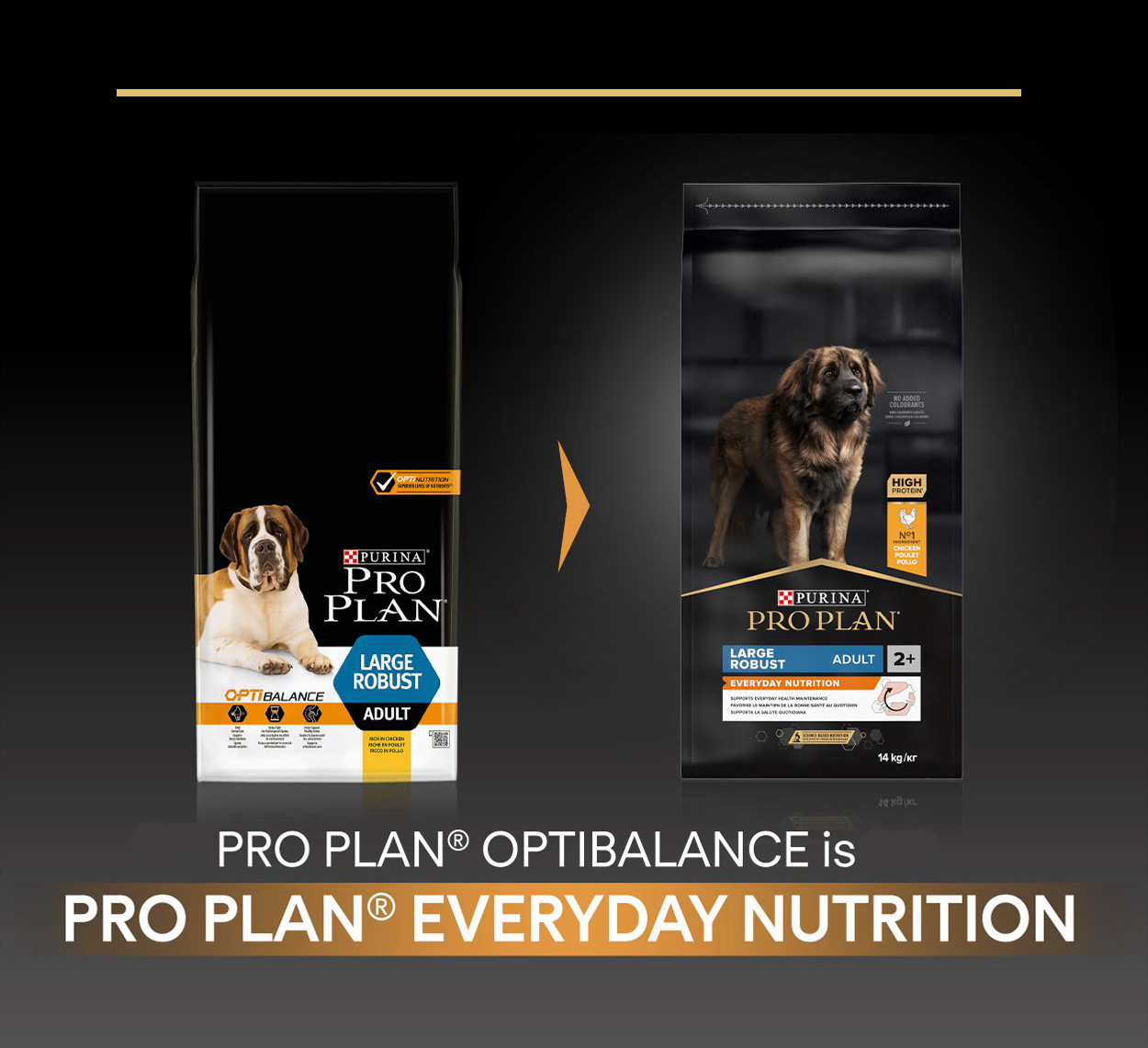 Pro Plan Large Robust Adult Everyday Nutrition con pollo per cane