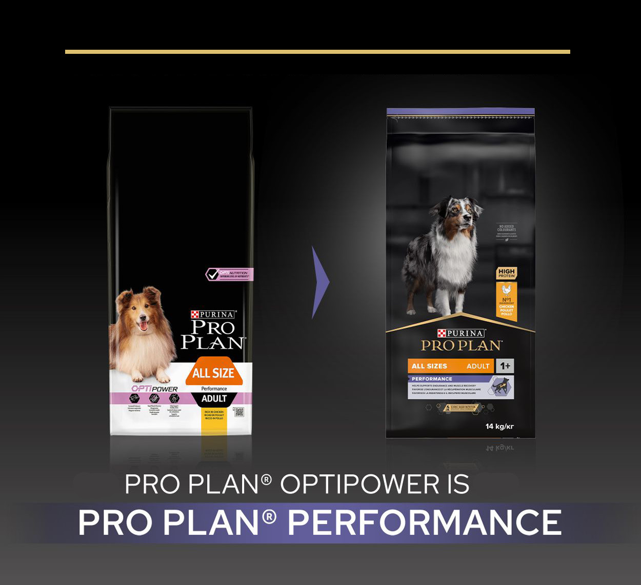 Pro Plan Adult Performance con pollo per cane