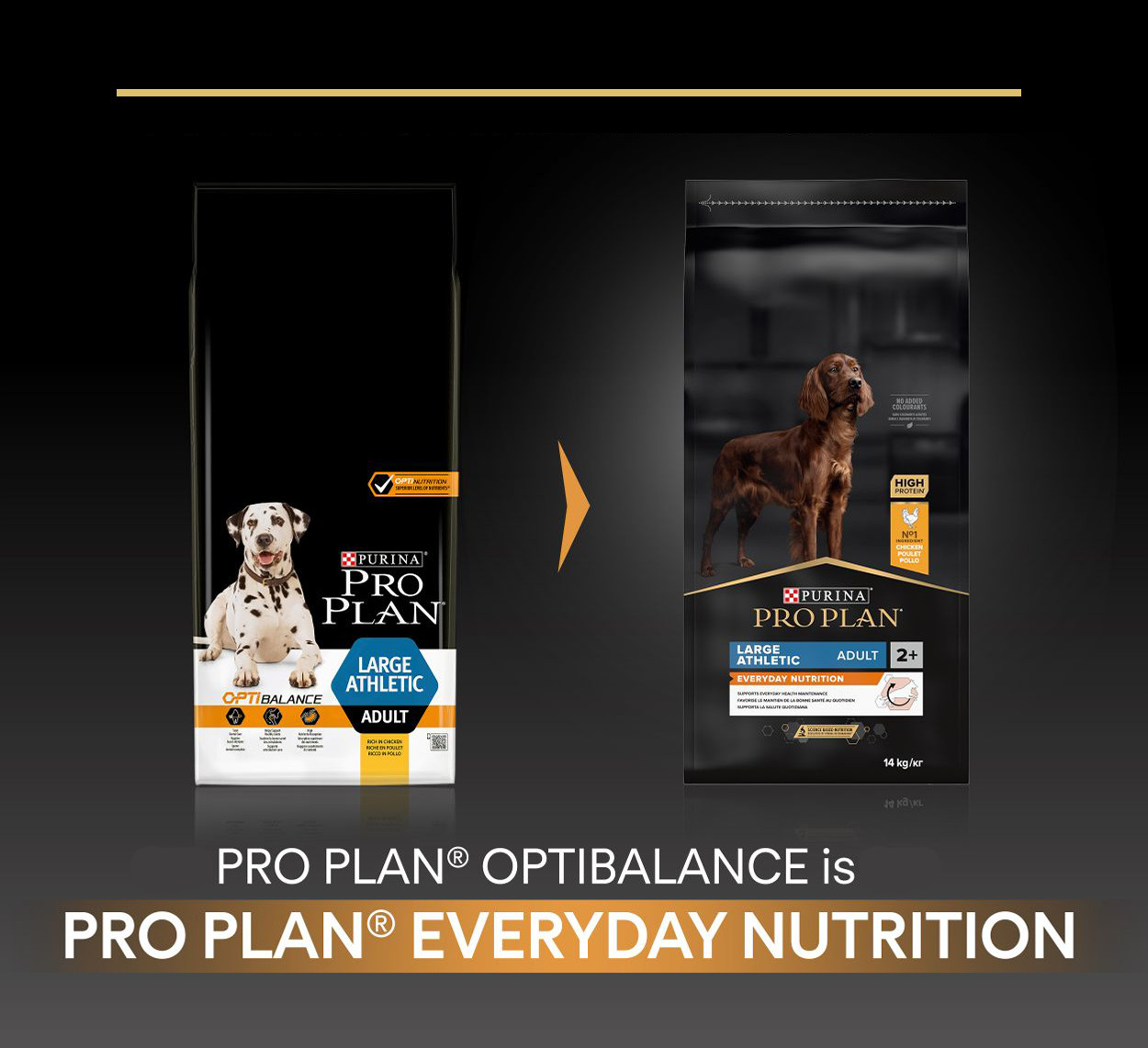Pro Plan Large Athletic Adult Everyday Nutrition con pollo per cane
