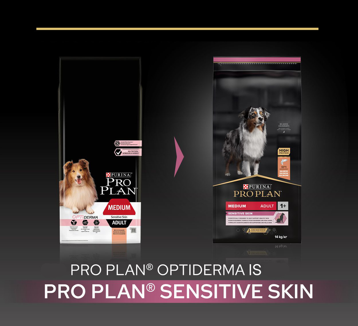 Pro Plan Medium Adult Sensitive Skin con salmone e riso per cane