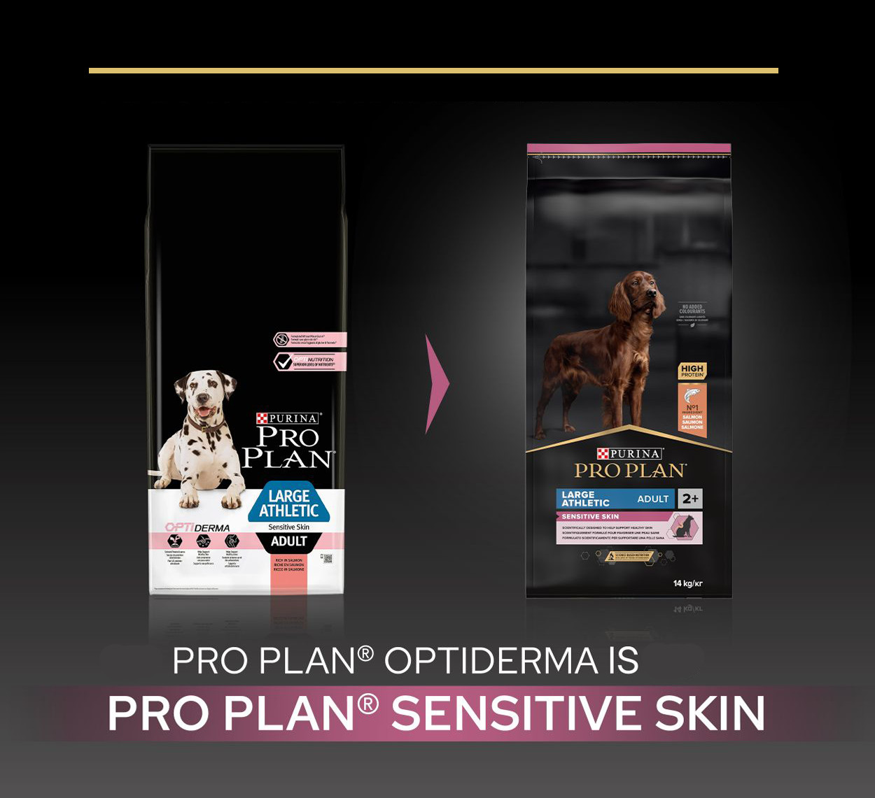 Pro Plan Optiderma Large Athletic Adult Sensitive Skin Cane