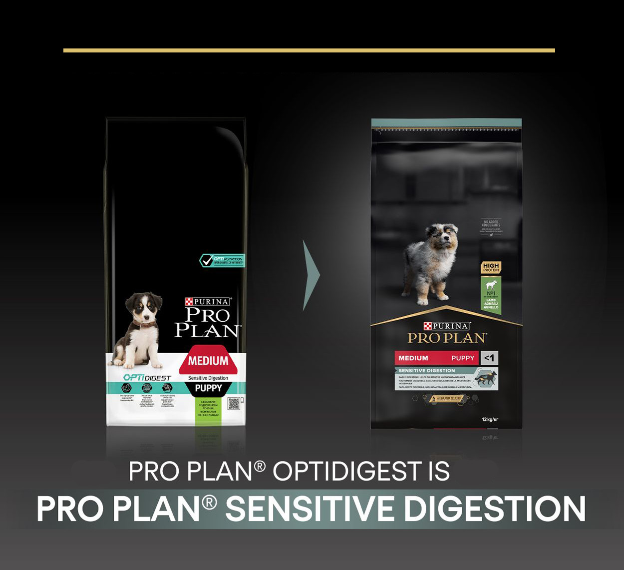 Pro Plan Puppy Medium Sensitive Digestion con agnello per cane