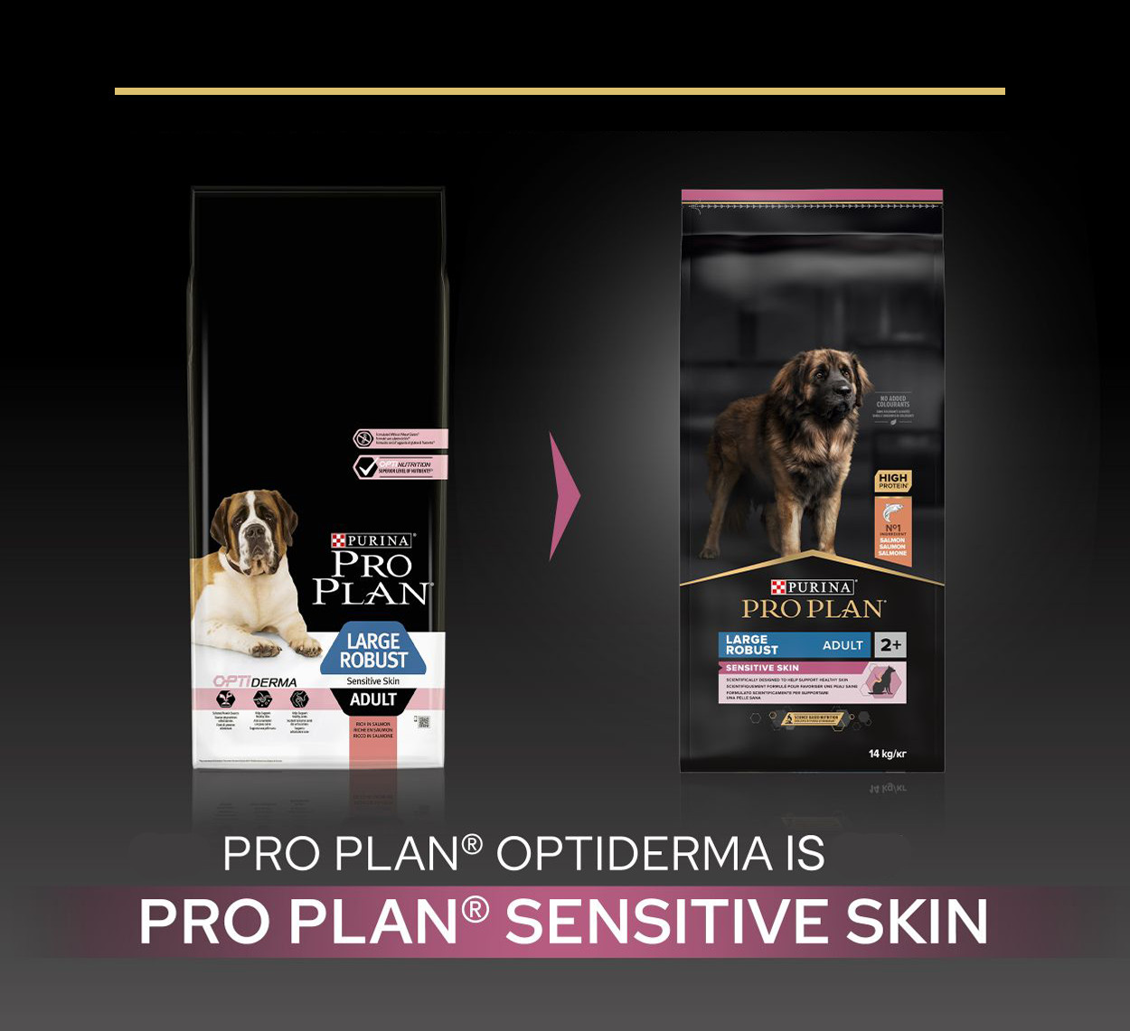 Pro Plan Optiderma Large Robust Adult Sensitive Skin Cane