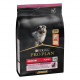 Pro Plan Medium Puppy Sensitive Skin con salmone per cane