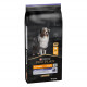 Pro Plan Adult Performance con pollo per cane