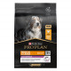 Pro Plan Medium & Large Adult 7+ Age Defence con pollo per cane