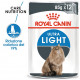Royal Canin Light Weight Care in gelatina per gatto (85 g)
