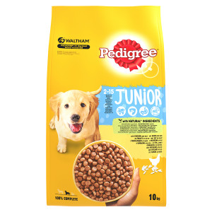Pedigree Cane Junior, con pollo e riso