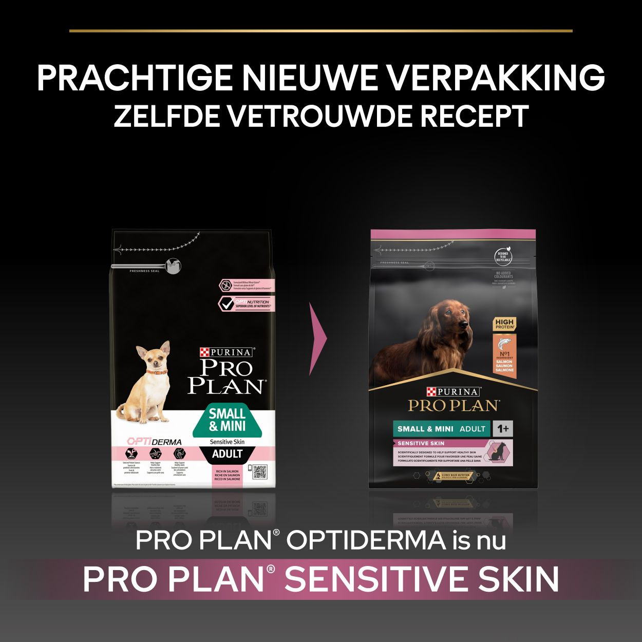 Pro Plan Small & Mini Adult Sensitive Skin con salmone per cane