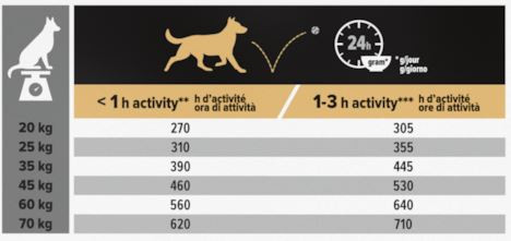 Pro Plan Medium Adult Sensitive Digestion con agnello per cane