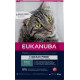 Eukanuba Adult con salmone senza cereali per gatto