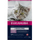 Eukanuba Kitten con salmone senza cereali per gattino