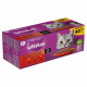Whiskas 1+  Classic Selectie multipack 40 x 100g