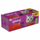 Whiskas 1+ Classic Selezione in salsa multipack (40 x 85 g)