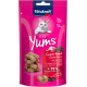 Vitakraft Cat Yums Superfood con sambuco snack per gatto (40 g)