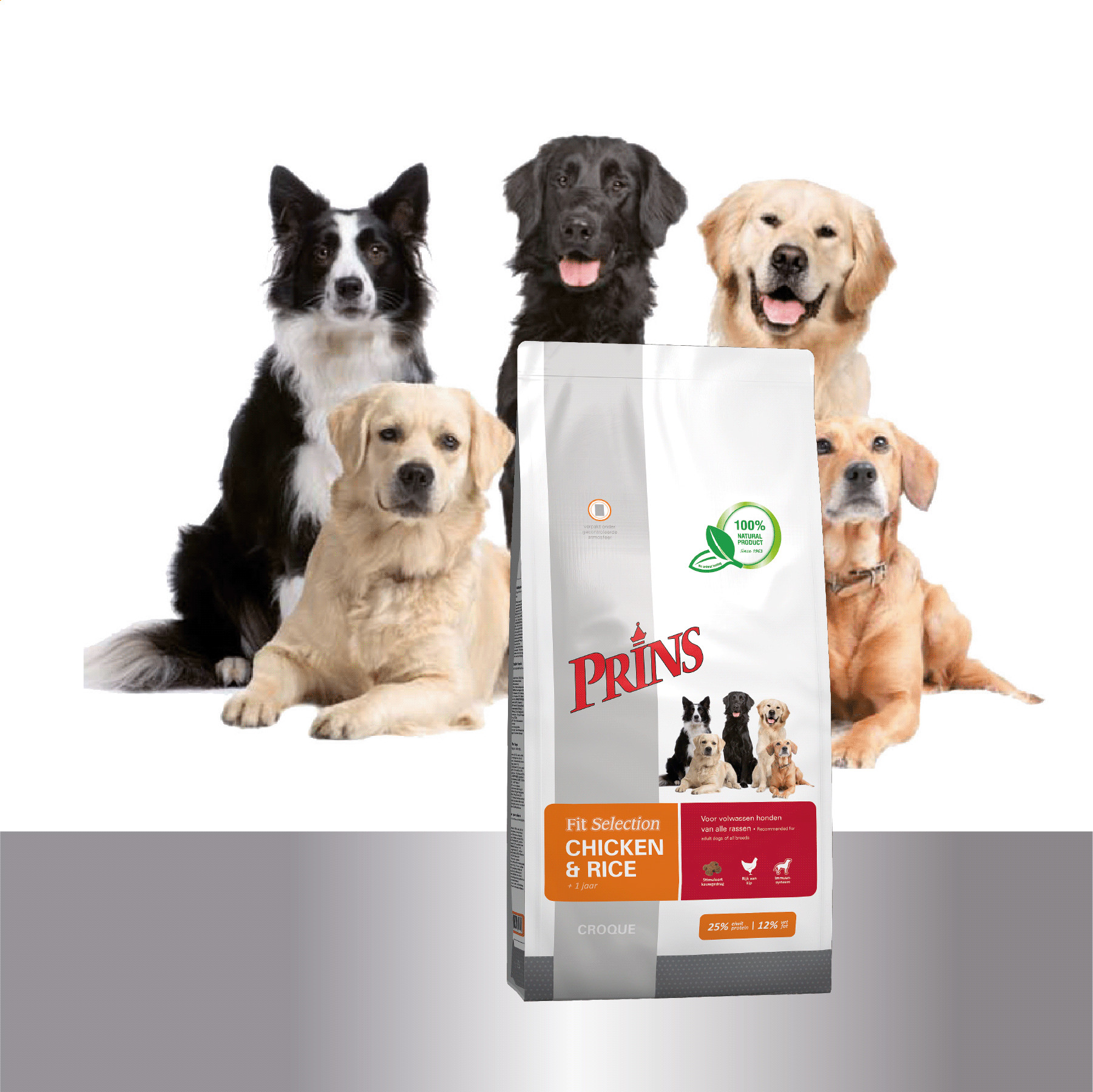 Prins Fit Selection pollo e riso per cane