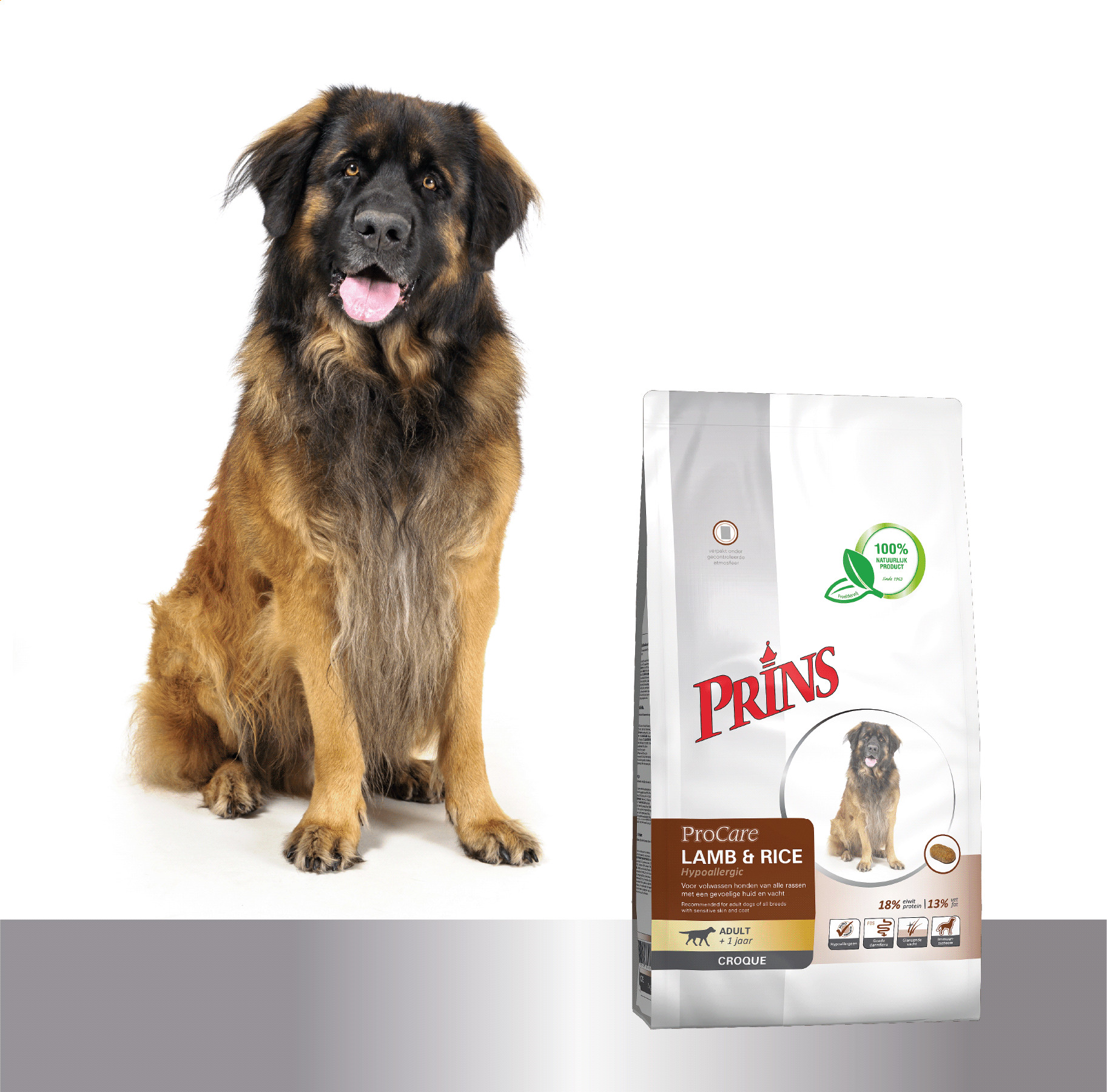 Prins ProCare Croque Hypoallergic con agnello e riso per cane