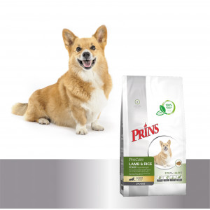 Prins ProCare Croque Senior Hypoallergic Cane agnello e riso