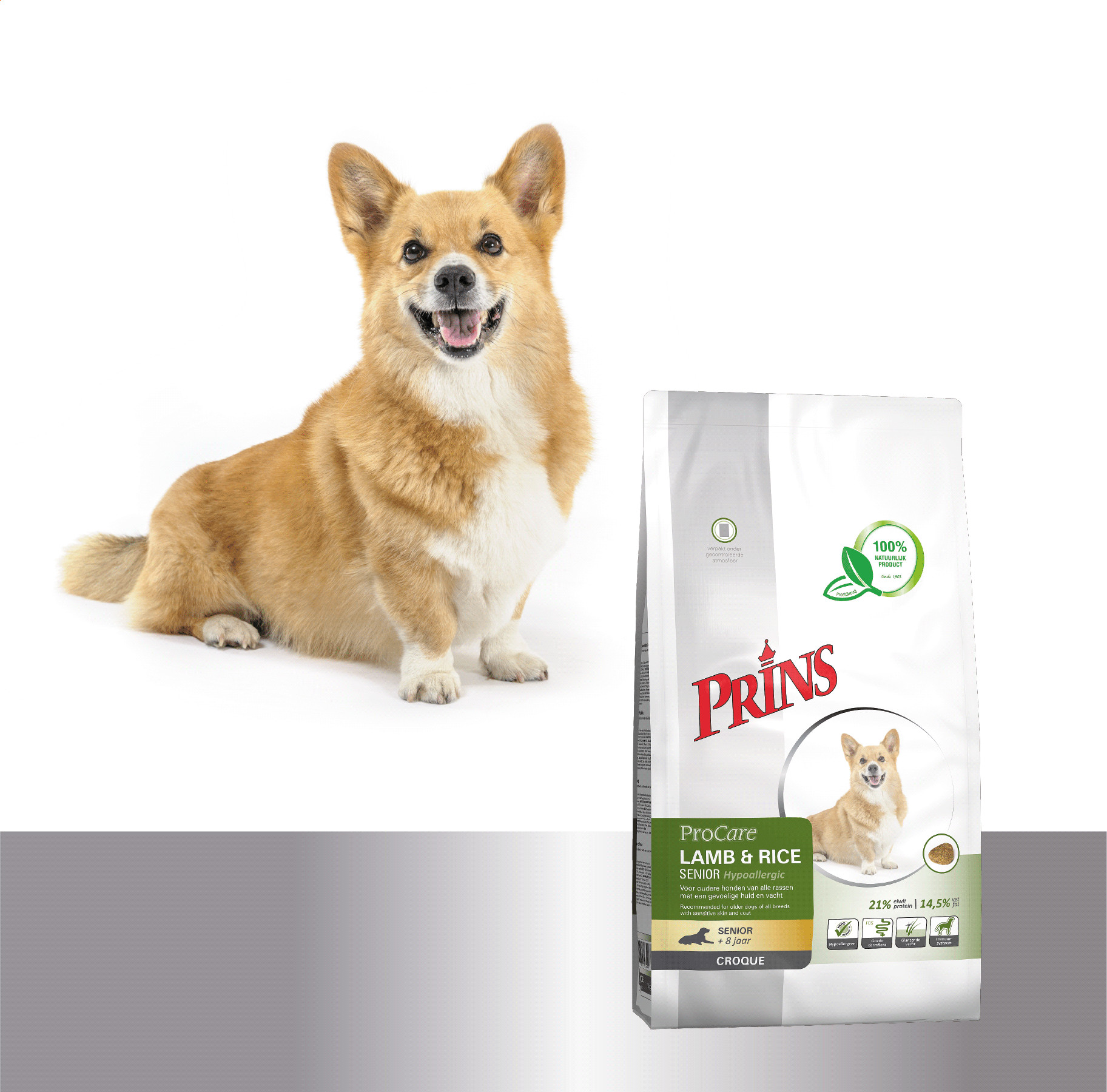 Prins ProCare Croque Senior Hypoallergic Cane agnello e riso