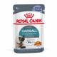 Royal Canin Hairball Care in gelatina umido per gatto (85 g)