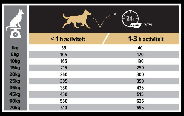 Pro Plan Medium Adult Sensitive Skin con salmone e riso per cane