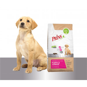 Prins ProCare Puppy & Junior per cane